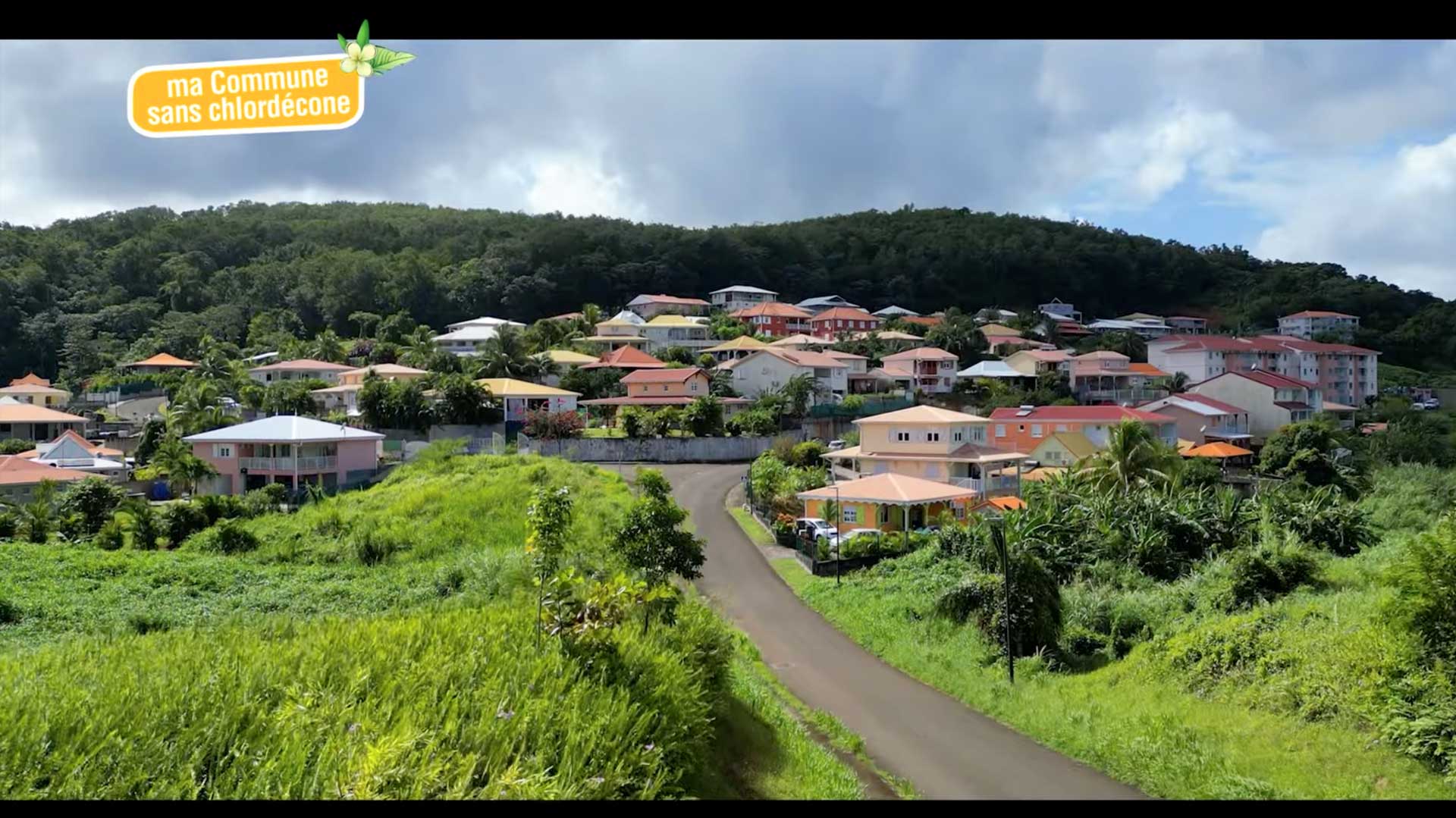 Ma commune sans chlordécone : Agir ensemble pour une alimentation saine